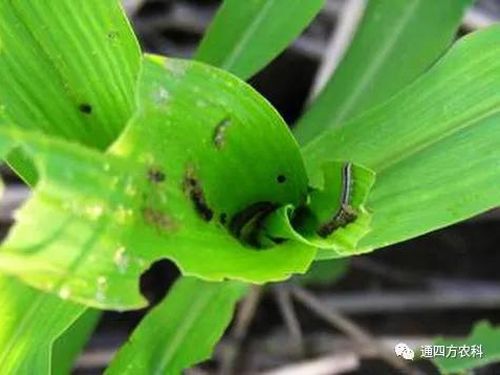 ���הQ����ô�k����ץ�o��Q��(hu��)Ӱ푮a(ch��n)��!!!