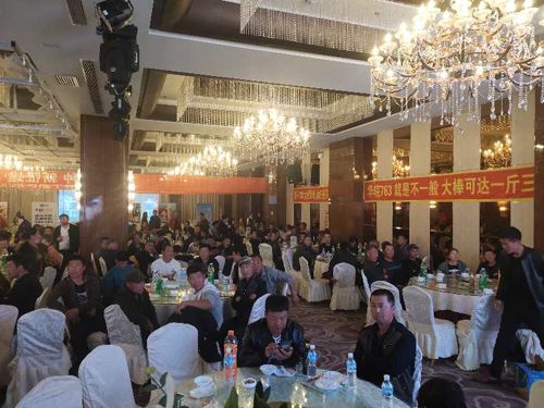 �Nֲ���ӆ؛��